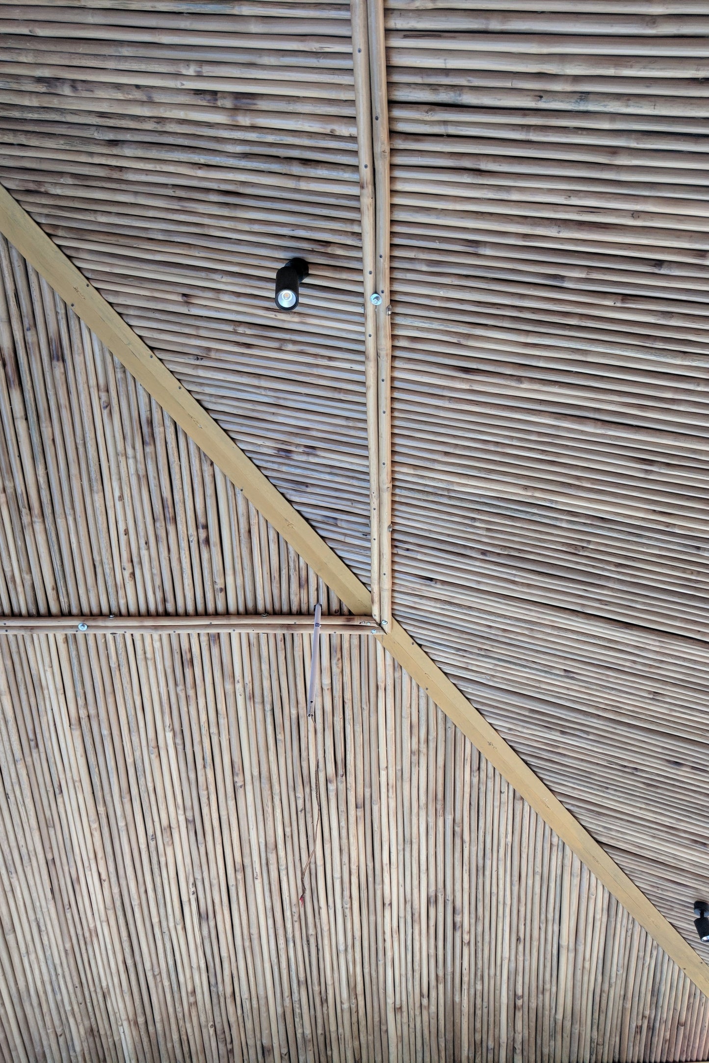 Bamboo Ceiling