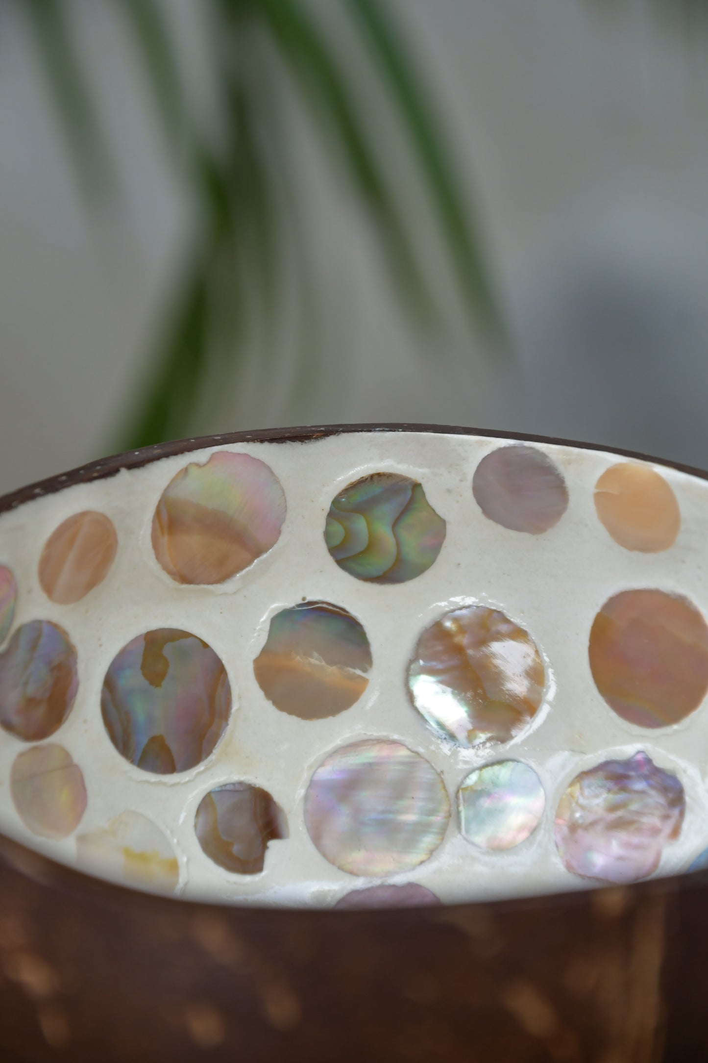 Coconut Bowl - Mother of Pearl - Peach Circles