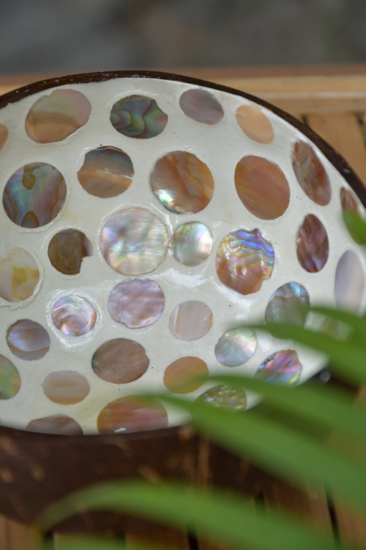 Coconut Bowl - Mother of Pearl - Peach Circles