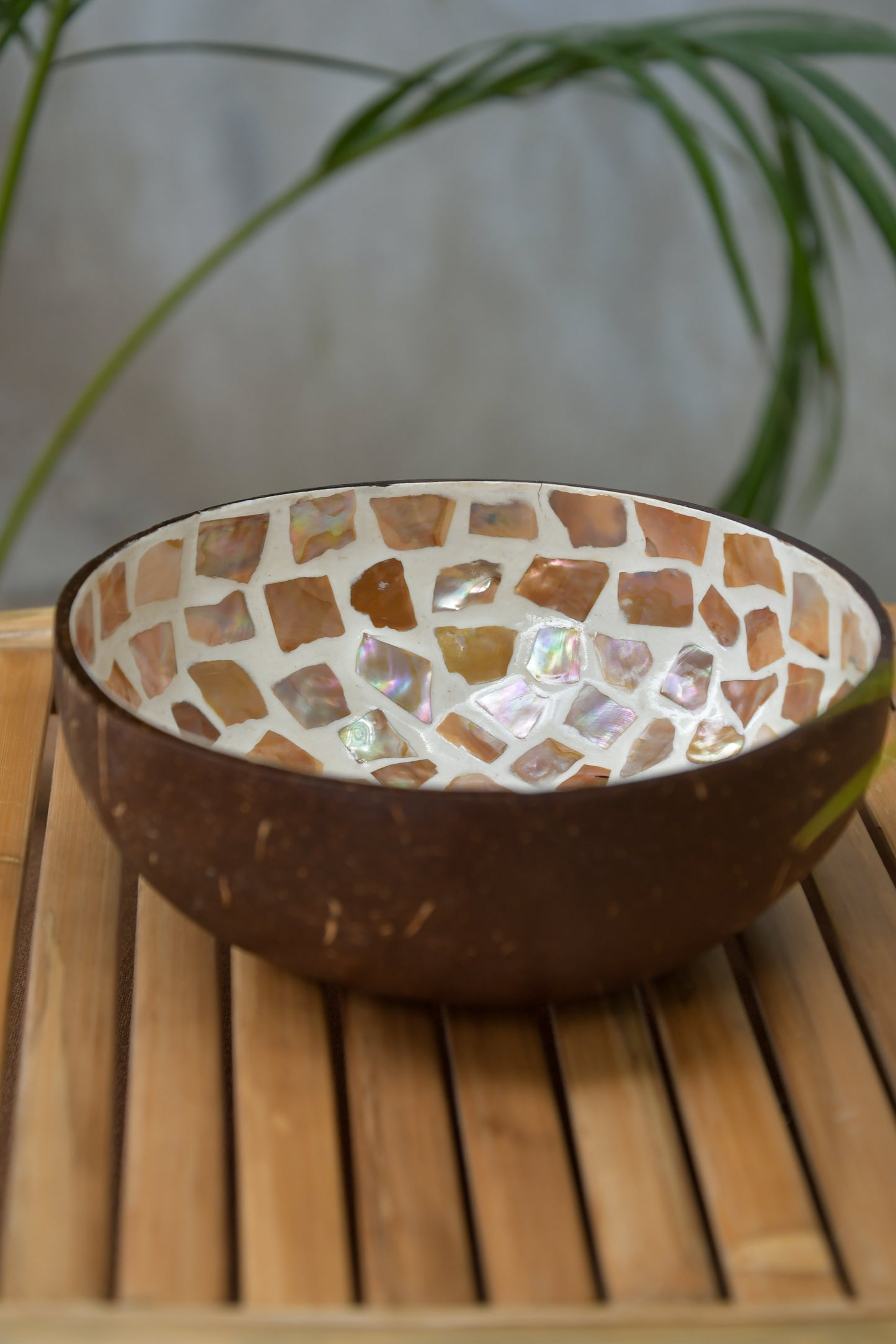 Coconut Bowl - Mother of Pearl - Peach Mosaic