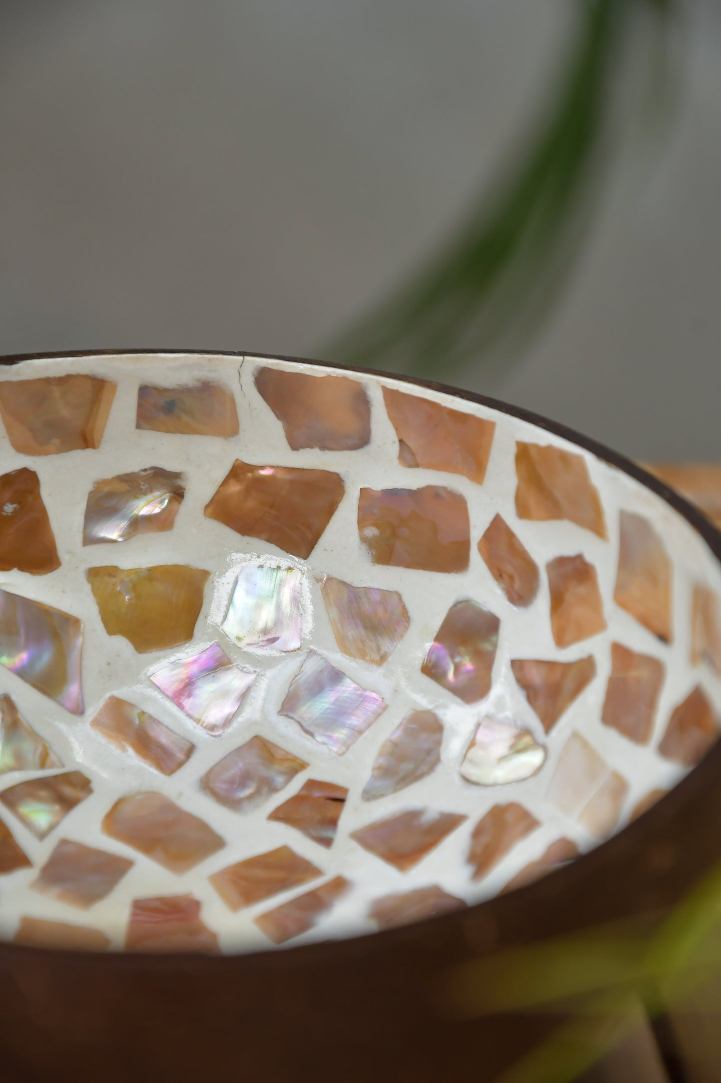 Coconut Bowl - Mother of Pearl - Peach Mosaic