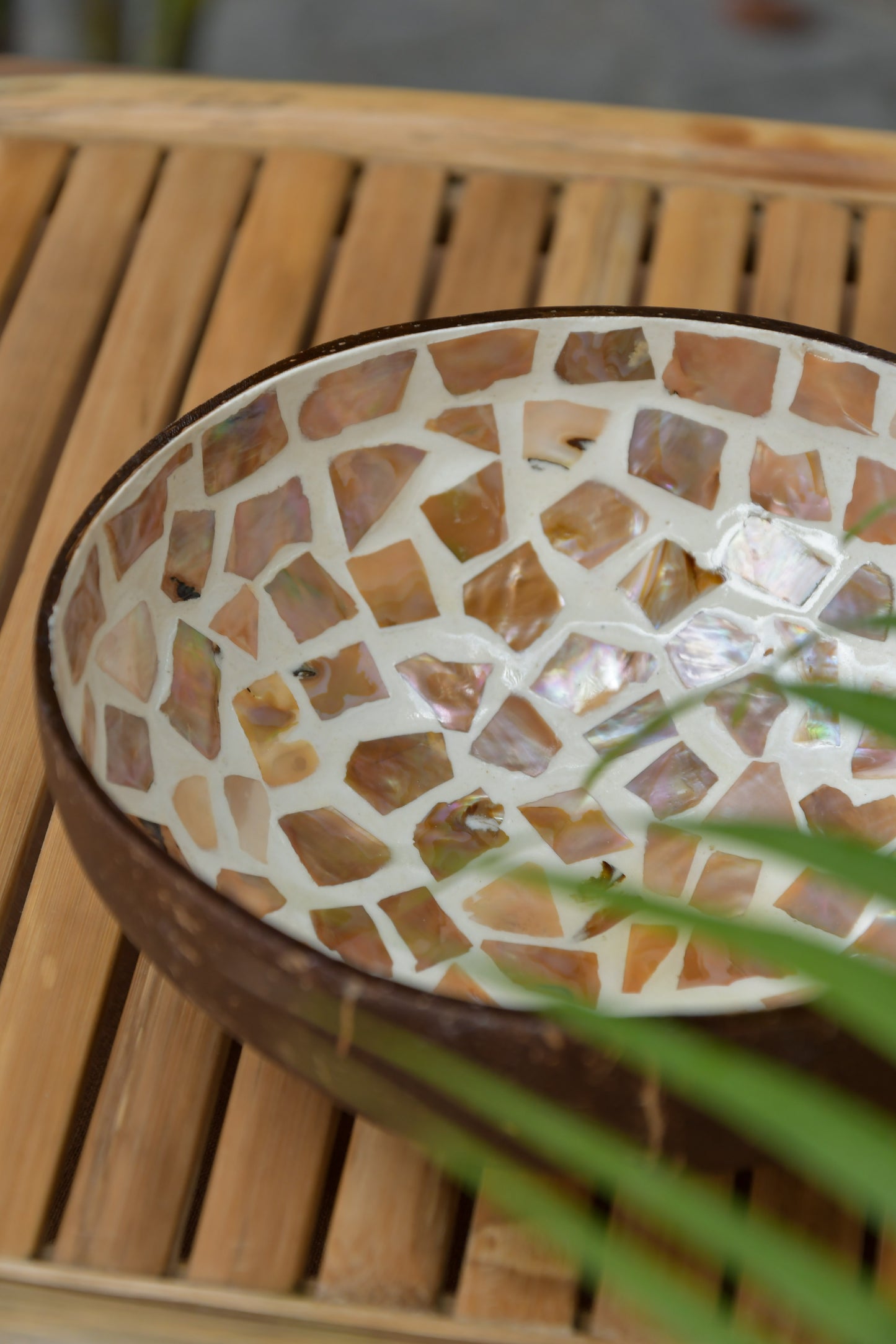 Coconut Bowl - Mother of Pearl - Peach Mosaic