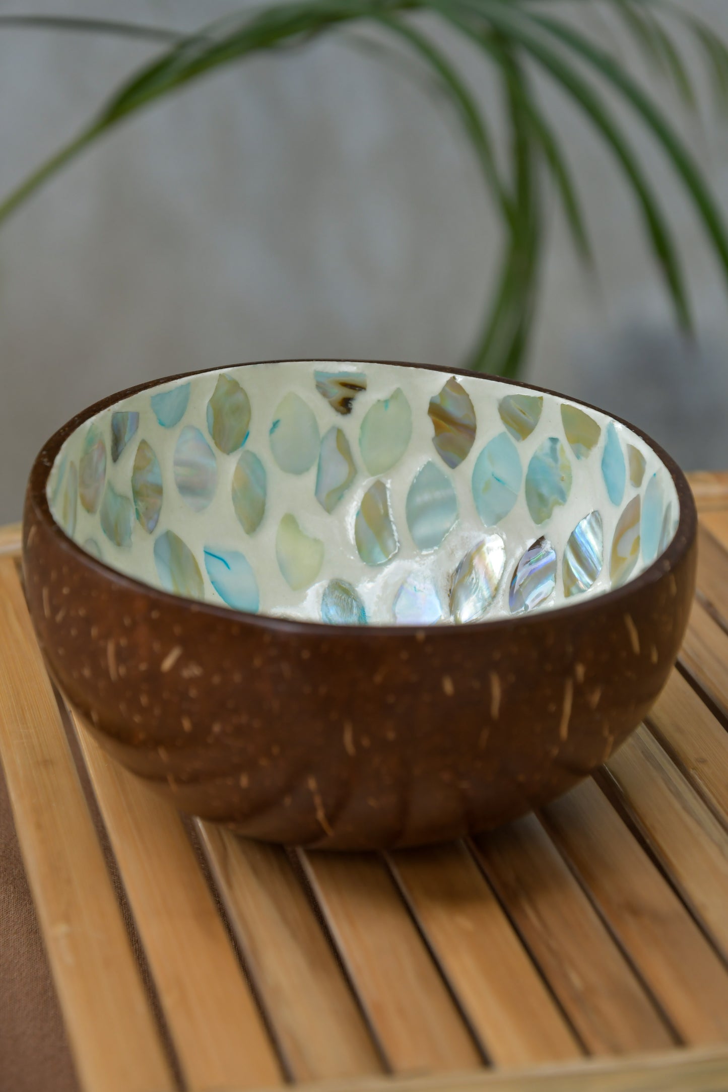 Coconut Bowl - Mother of Pearl - Light Blue