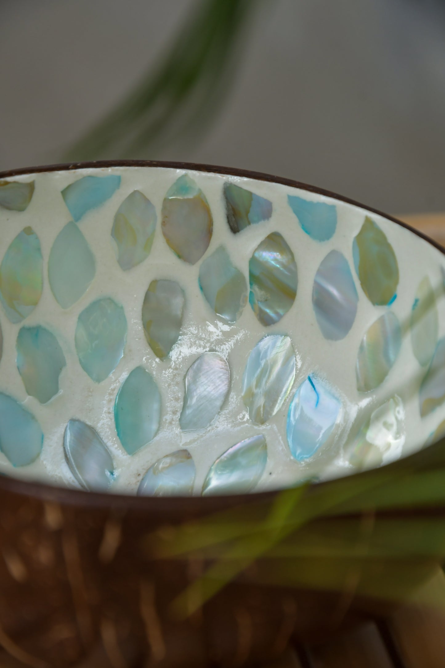 Coconut Bowl - Mother of Pearl - Light Blue