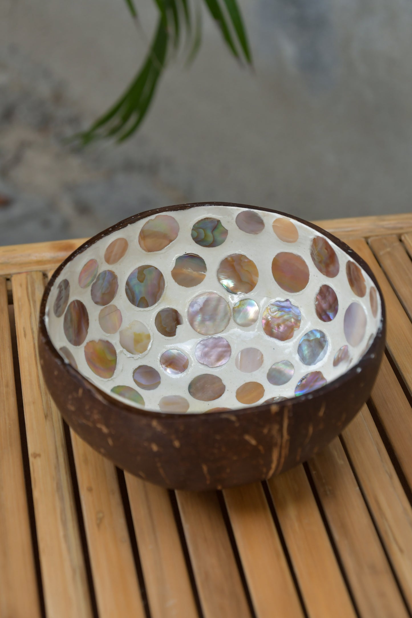 Coconut Bowl - Mother of Pearl - Peach Circles