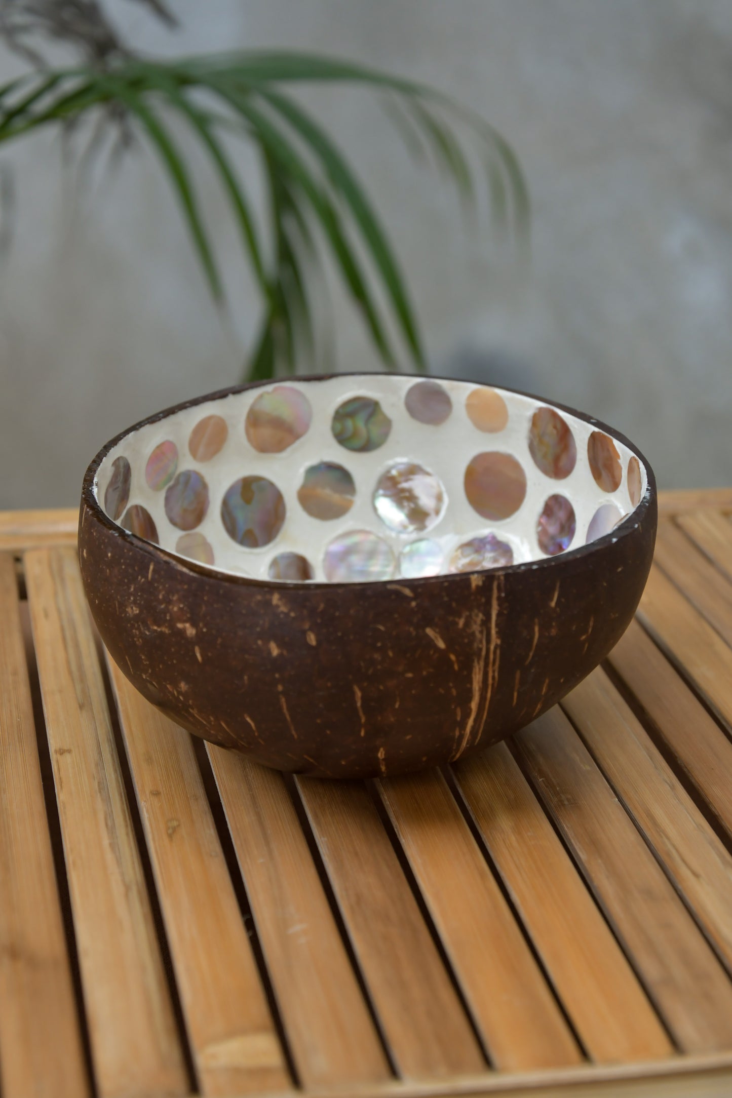 Coconut Bowl - Mother of Pearl - Peach Circles