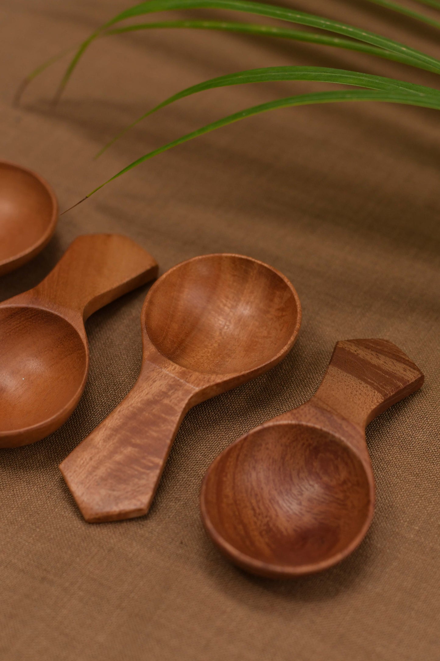 Neem Wood Coffee Dabba Spoon