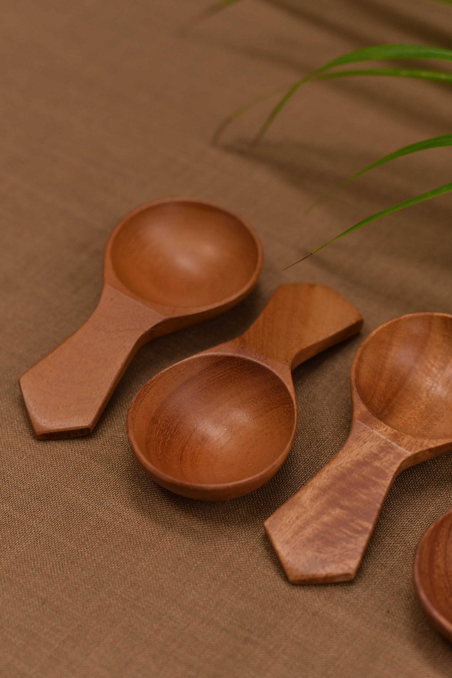 Neem Wood Coffee Dabba Spoon