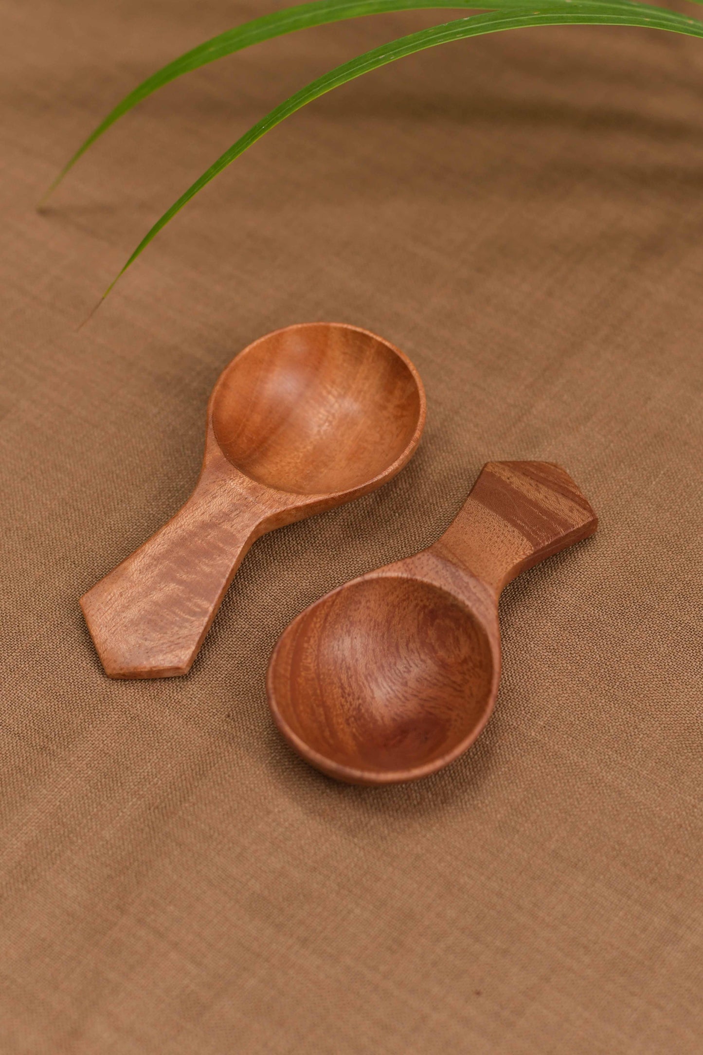 Neem Wood Coffee Dabba Spoon