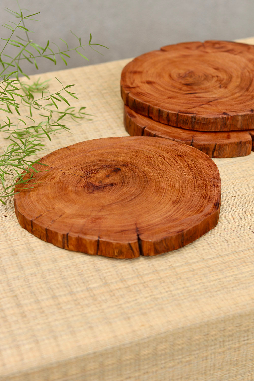 Driftwood Placemats