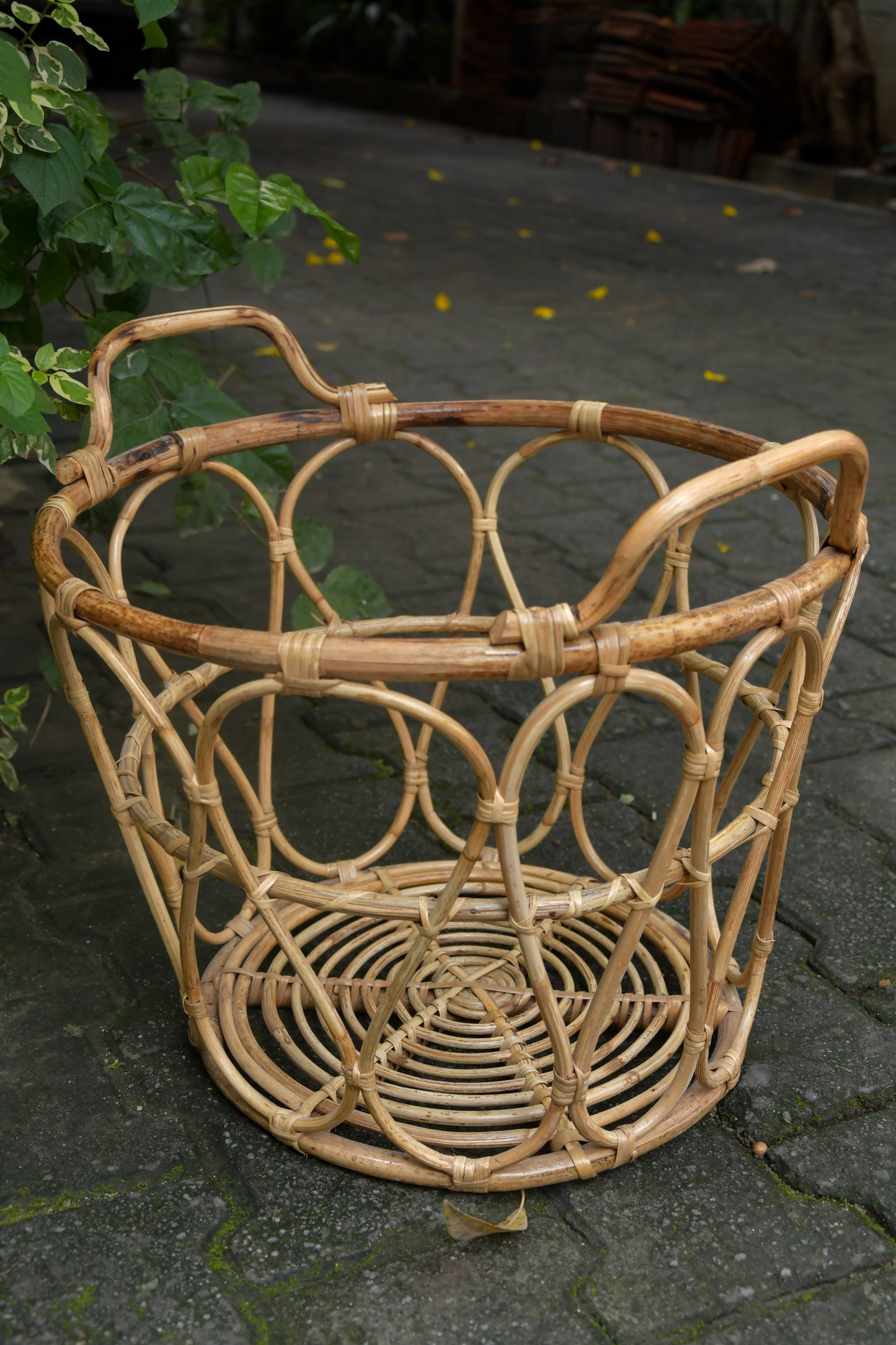 Nagaon Abierta Rattan Basket