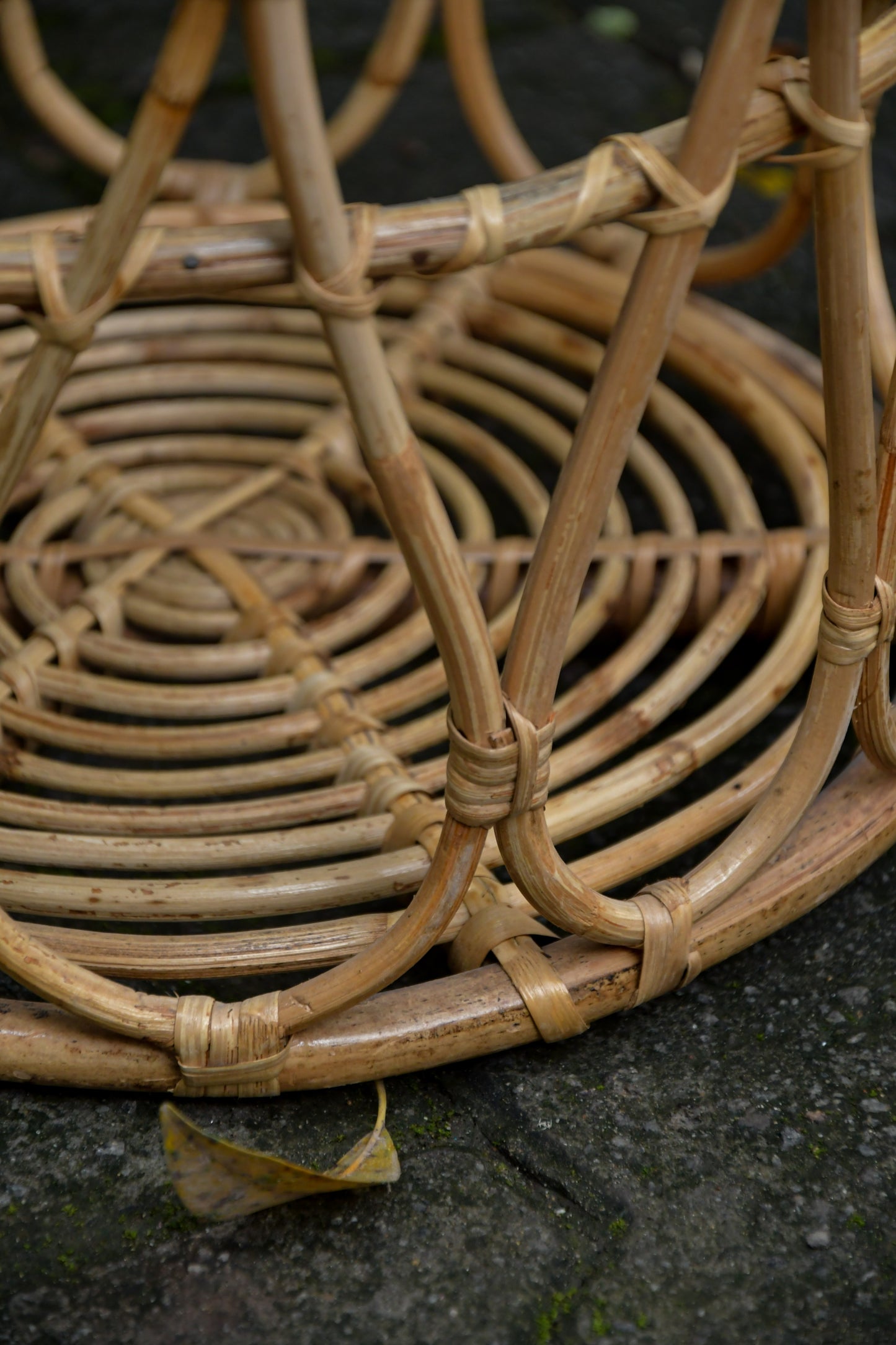 Nagaon Abierta Rattan Basket