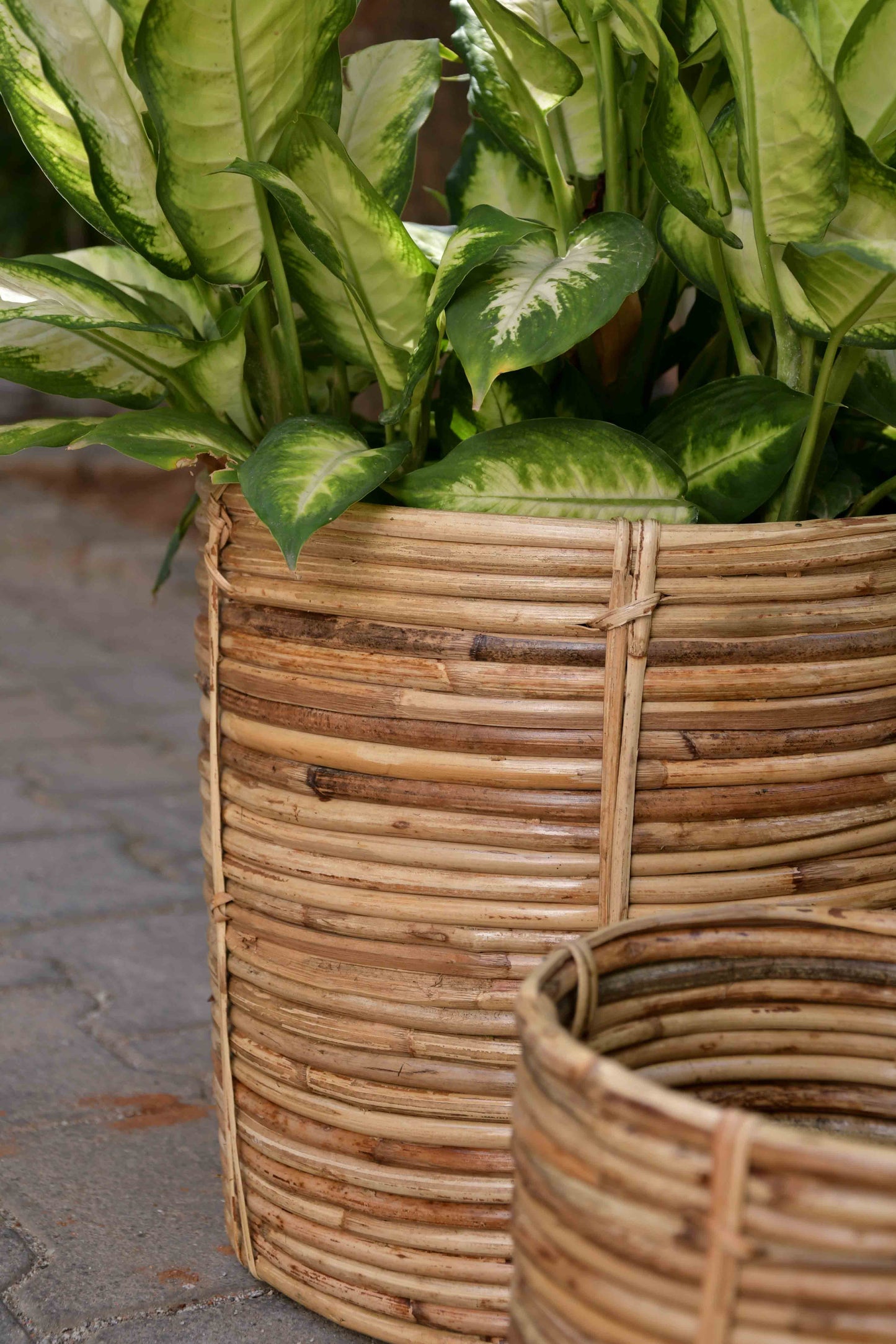 Nagaon coiled basket