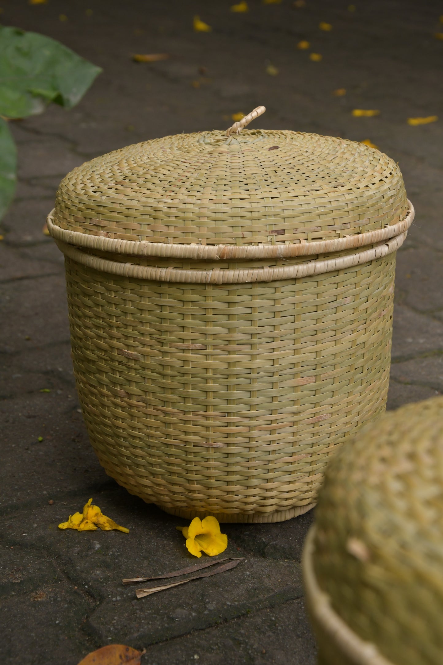 Nongpoh storage basket with lid