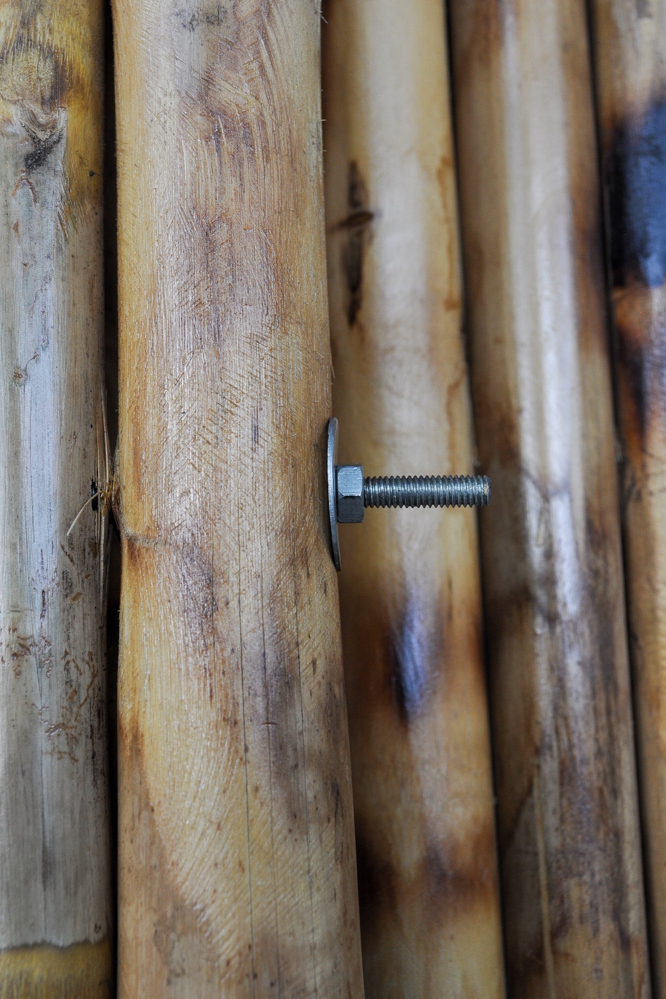 Bamboo Panels