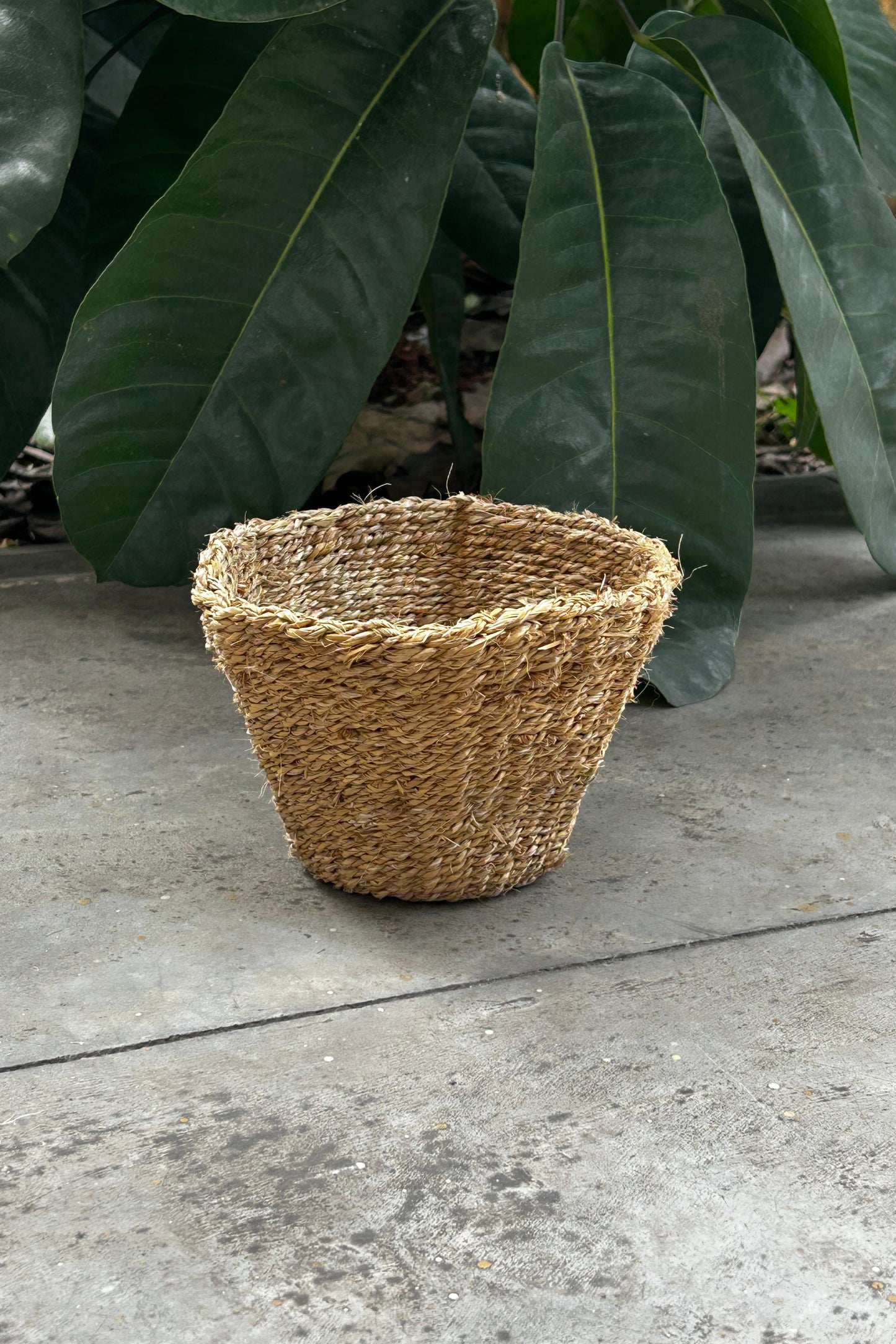 Lanzi Planter