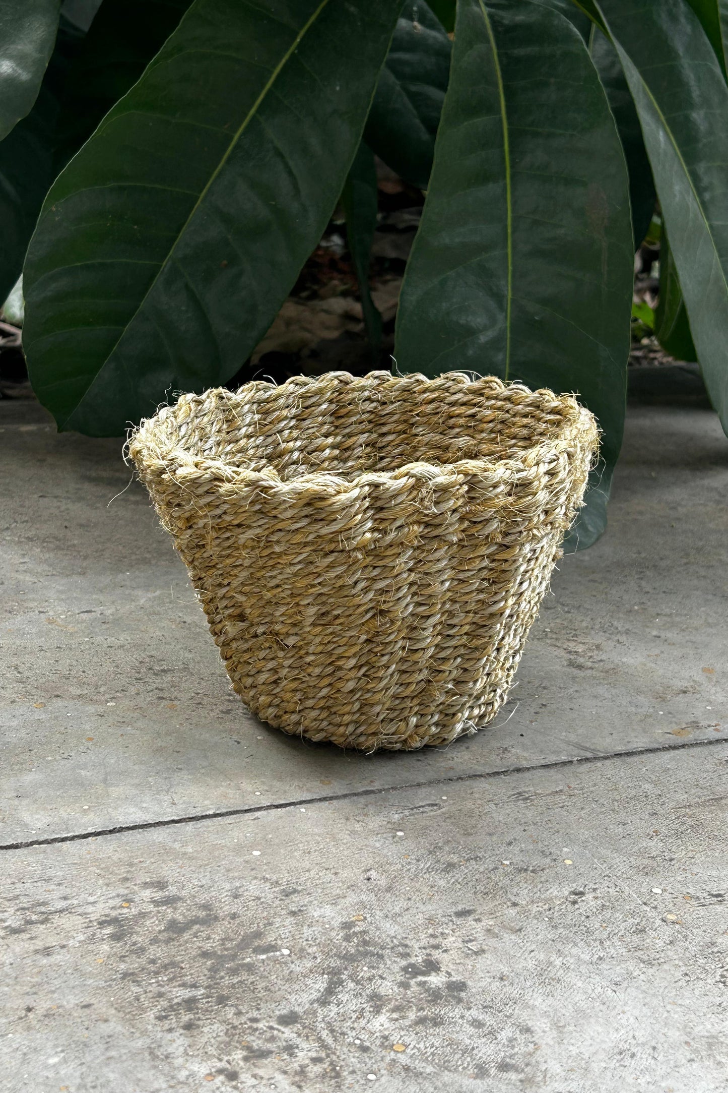 Lanzi Planter