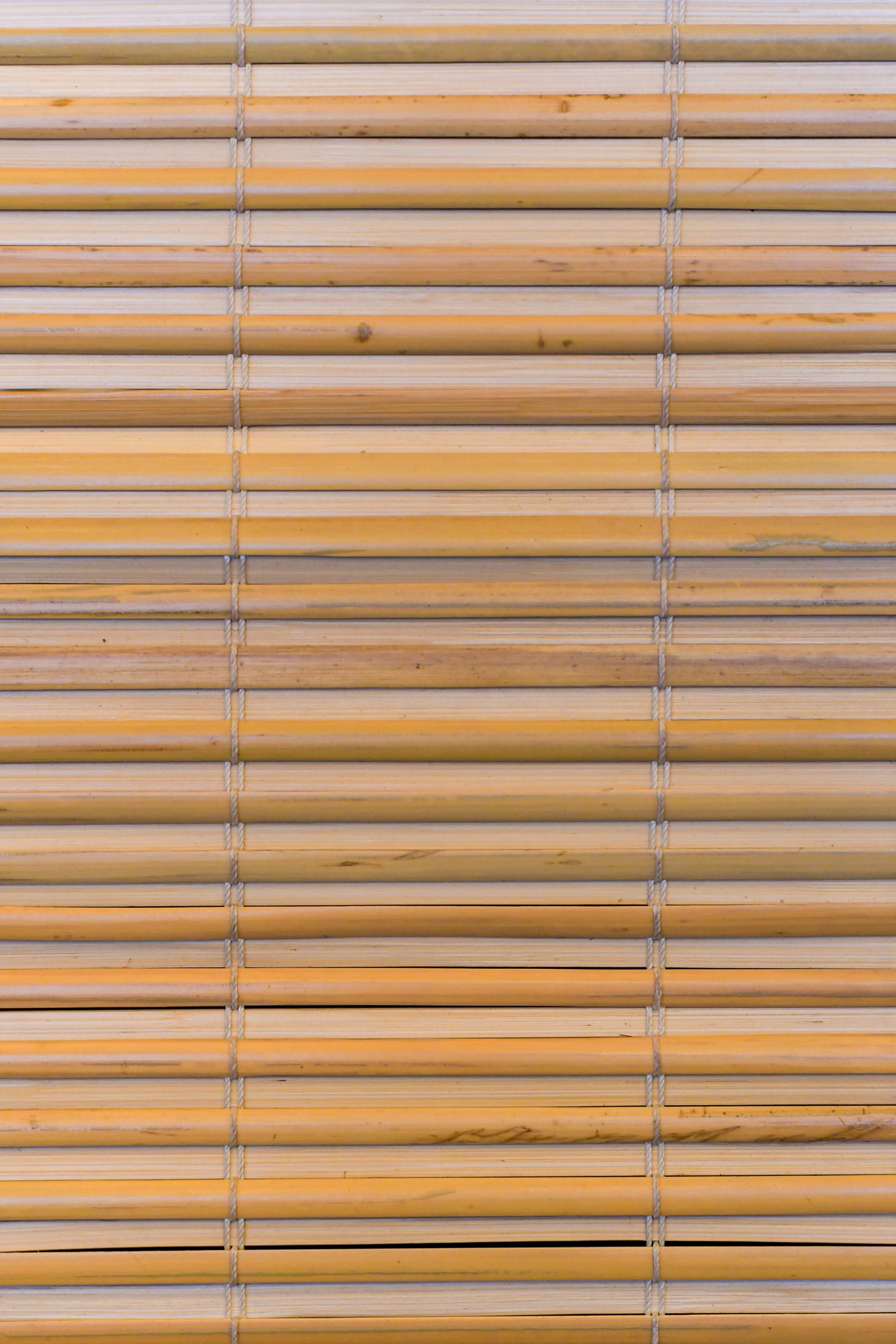 Bamboo Blinds - Ochlandra Closed - BB008