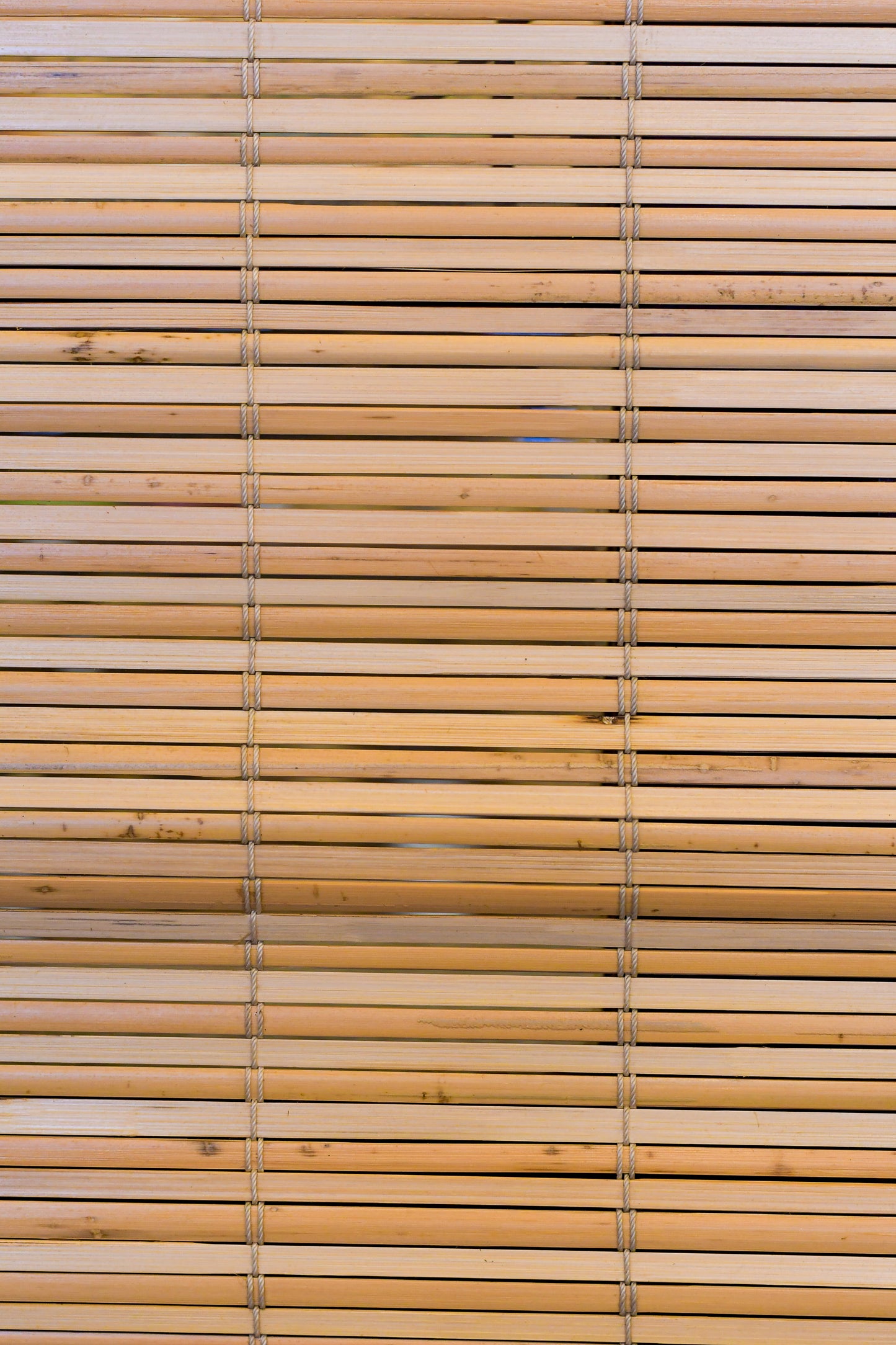 Bamboo Blinds - Ochlandra Polish - BB013