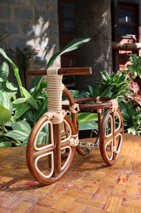 Tricycle planter