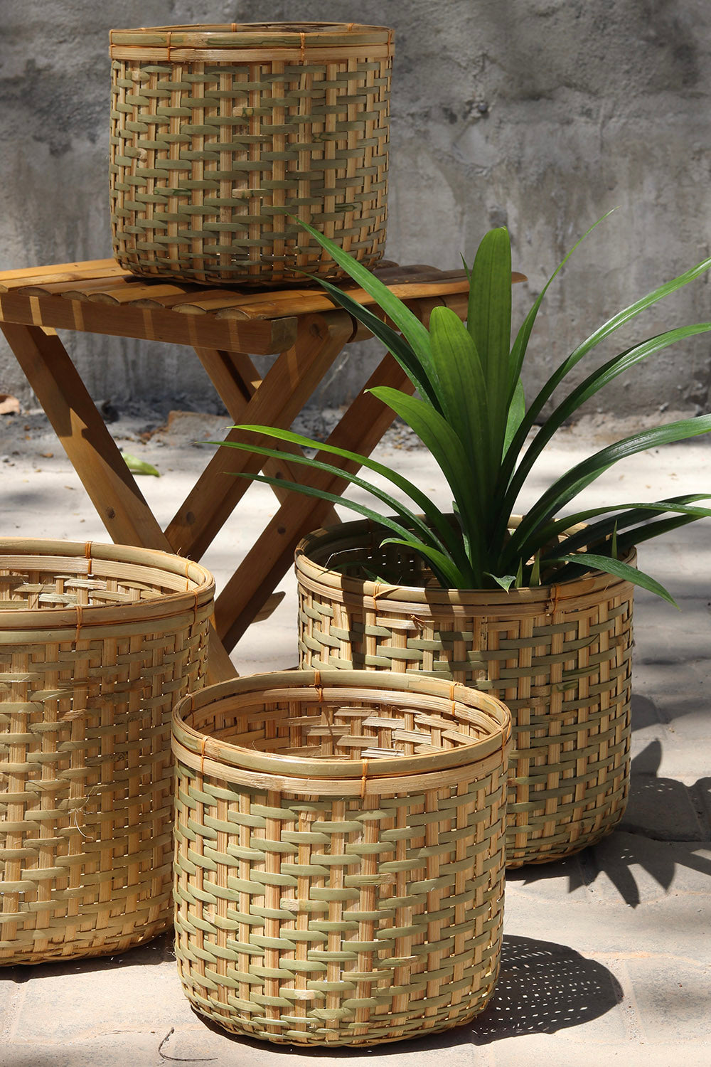 Amtola Planters