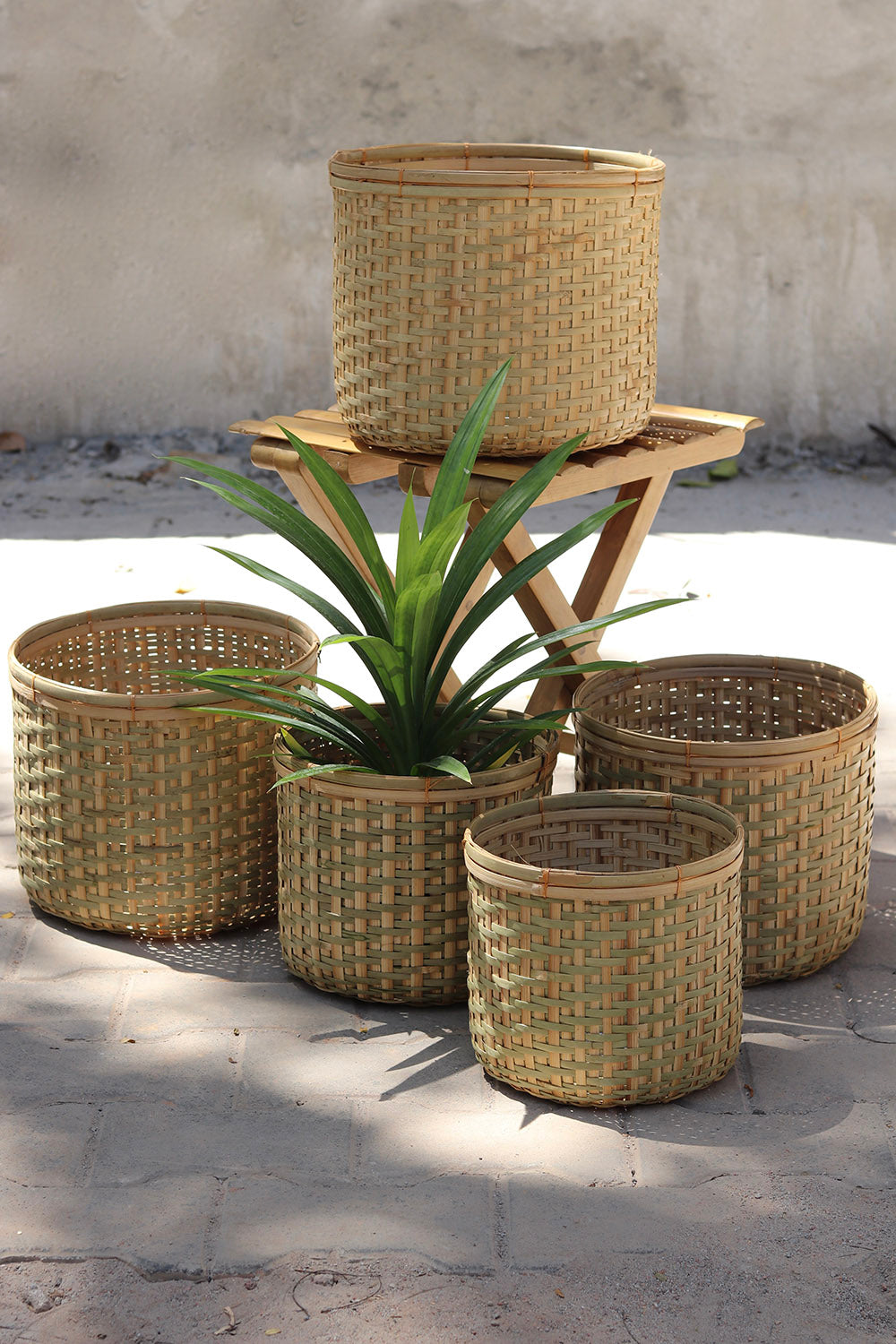 Amtola Planters