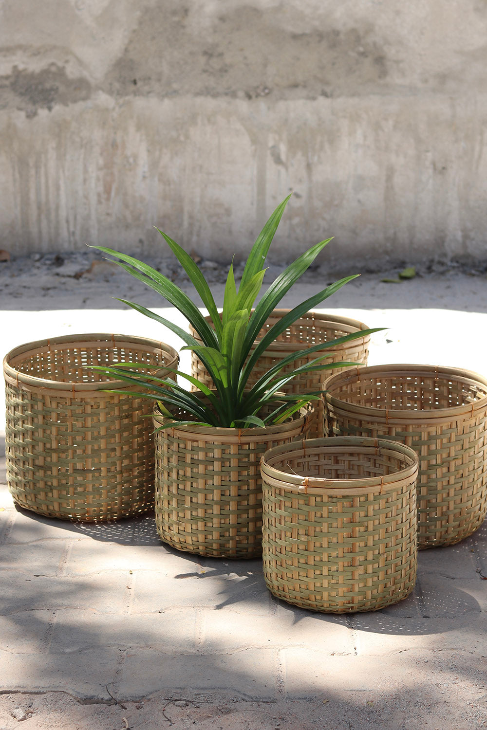 Amtola Planters