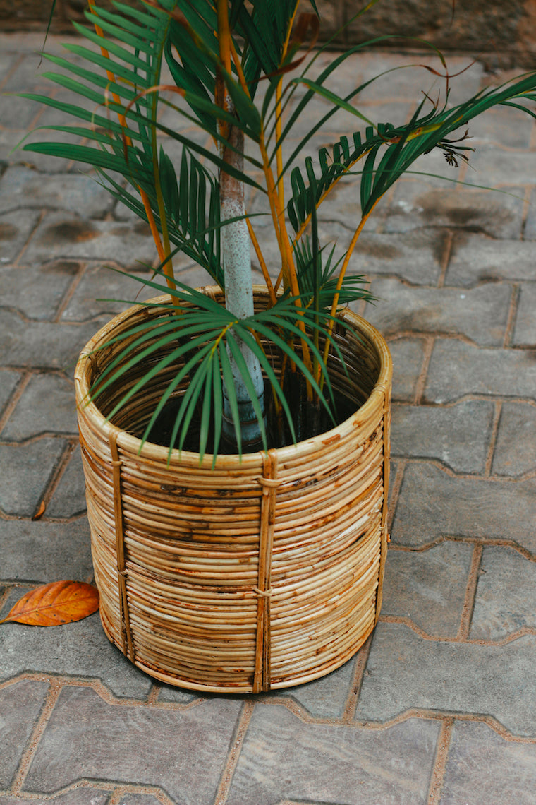 Nagaon coiled basket