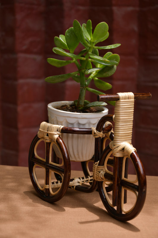 Tricycle planter