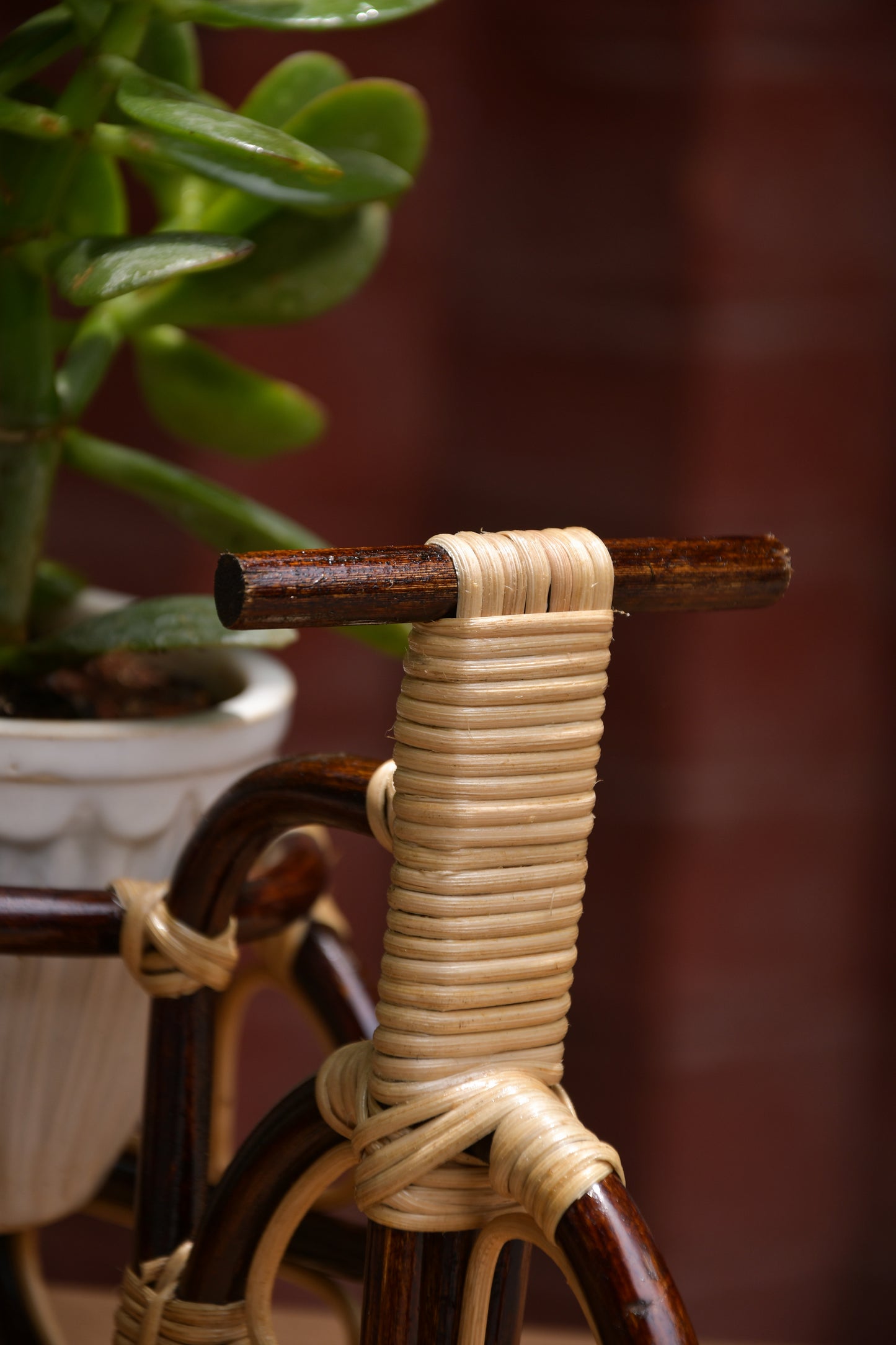 Tricycle planter