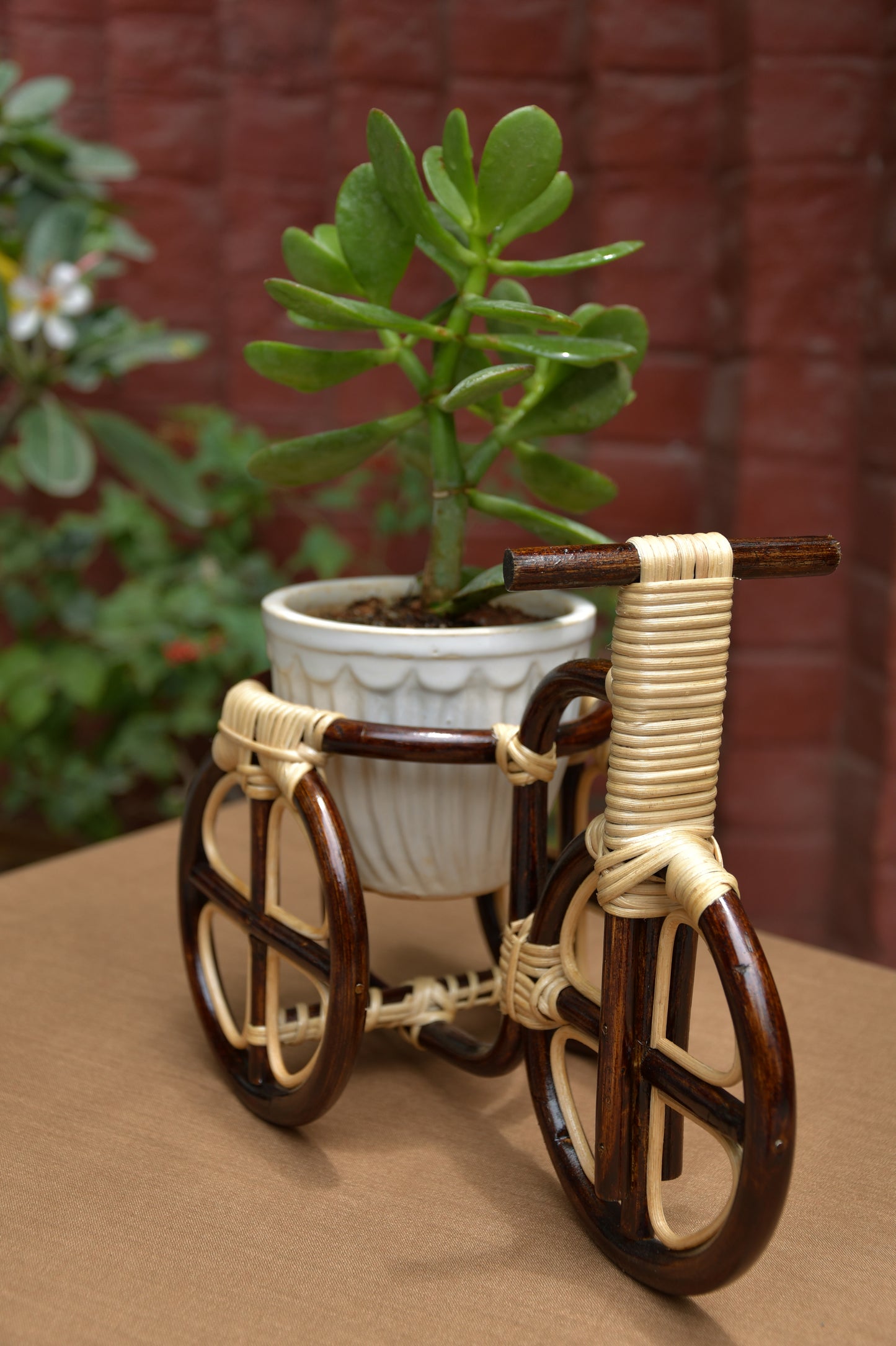 Tricycle planter