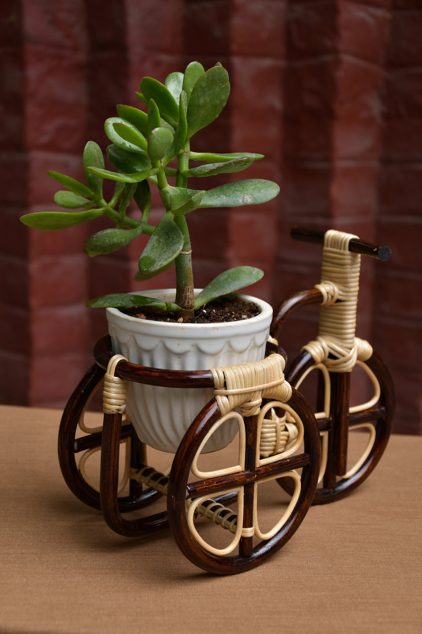 Tricycle planter