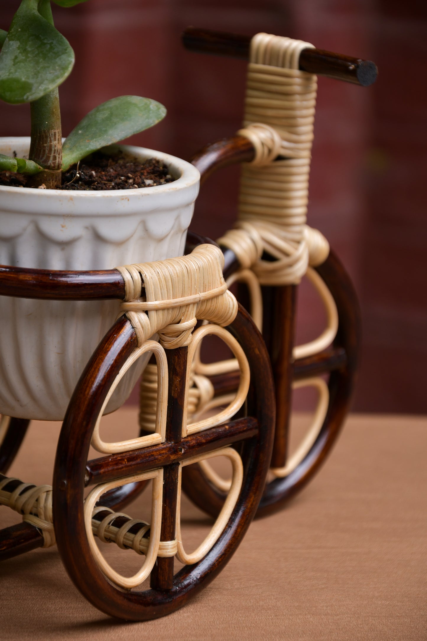 Tricycle planter